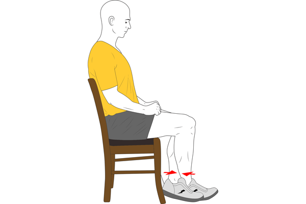 Isomètric femoral assegut