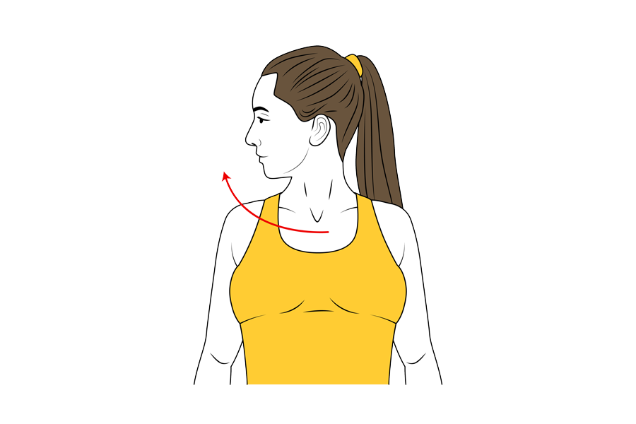 Rotació del coll a la dreta